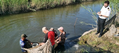 выпуск мальков сазана в реку Дон